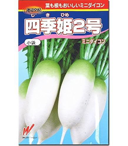 Amazon | タカヤマシード お手頃なミニ大根 ミニピタダイコン | 野菜